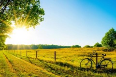 Countryside